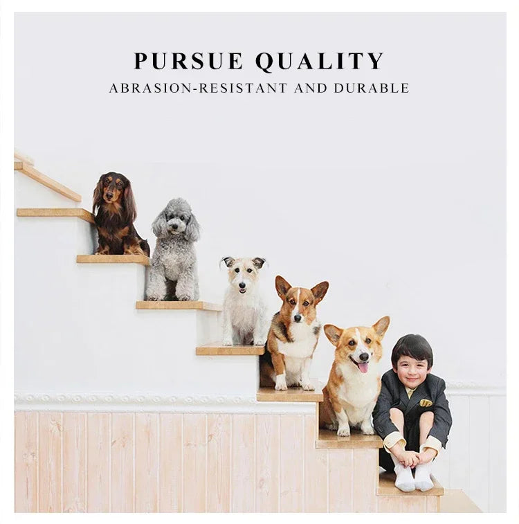 Portable Dog and Cat Carrier Bag with Breathable Mesh