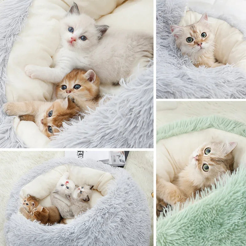 Collage de chatons adorables reposant dans un panier moelleux et rond à thème caverne.