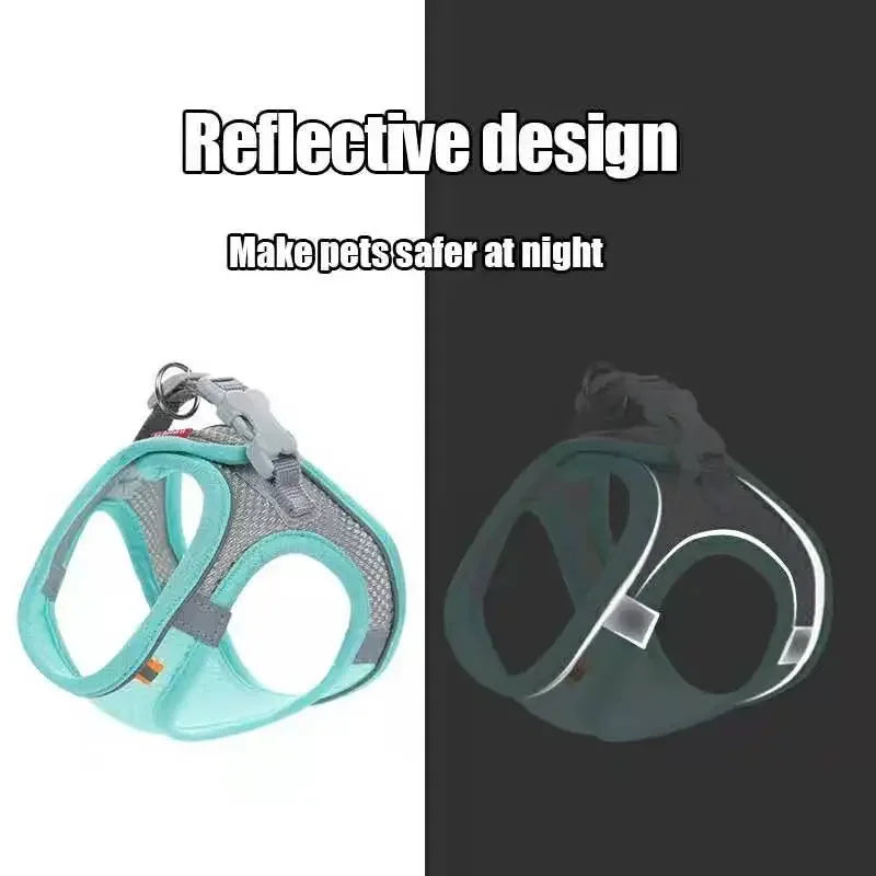 A reflective pet harness and leash set shown in light teal and dark gray colors.
