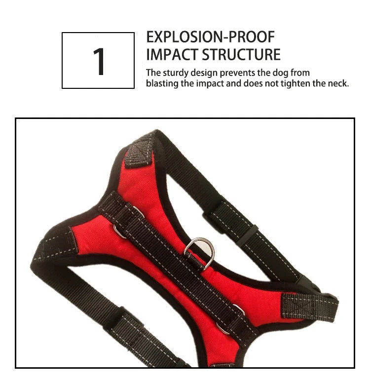 A red and black adjustable dog harness is shown, highlighting an explosion-proof impact structure.