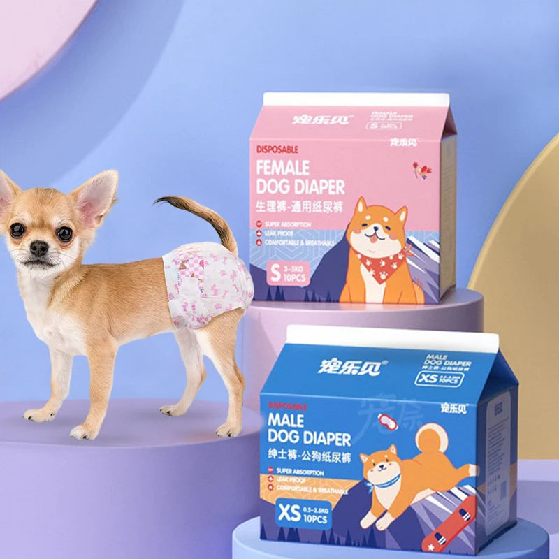 A box of disposable female dog diapers and male dog diapers is displayed next to a small dog.