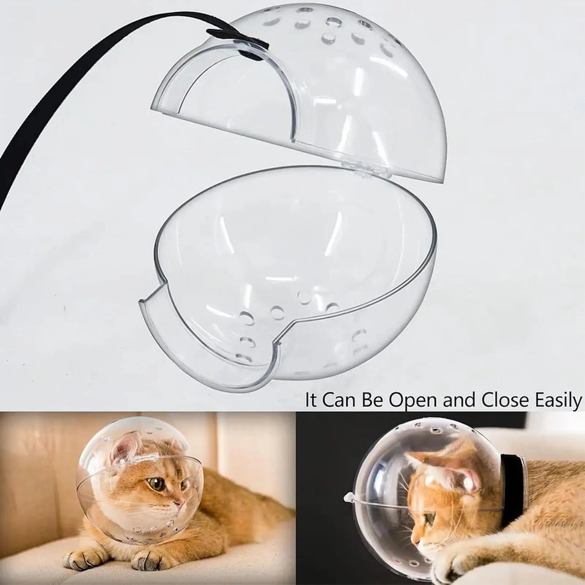 A transparent grooming hood for a cat is shown open and closed, demonstrating its easy operation.