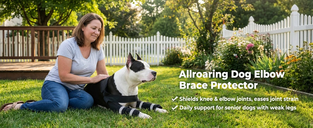 A woman is sitting on the grass next to a dog, demonstrating an Allroaring Dog Elbow Brace Protector for senior dogs.