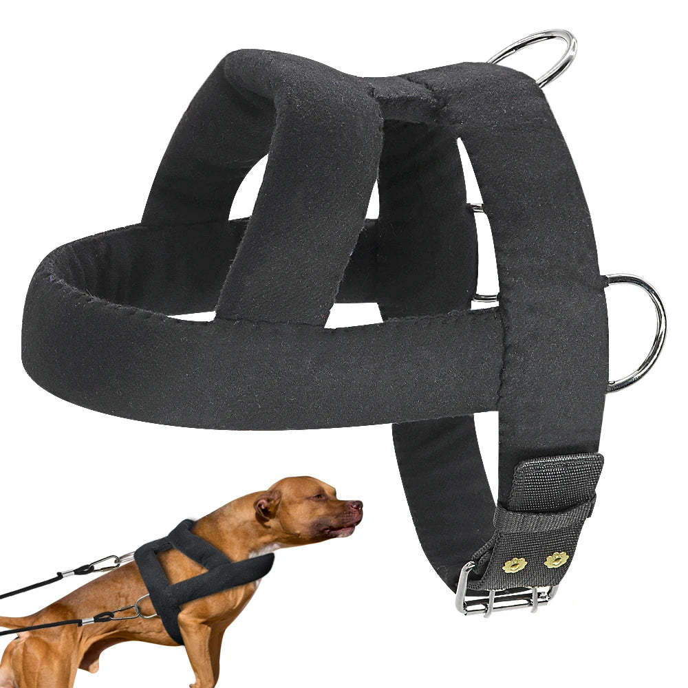 Black adjustable weight pulling training harness for dogs shown next to a dog wearing a similar harness
