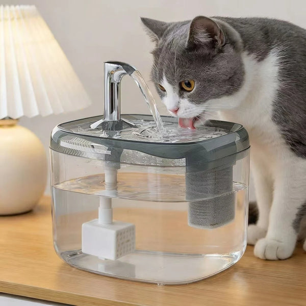 Una fuente de agua automática de vidrio para mascotas está siendo utilizada por un gato gris y blanco.