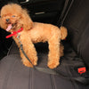 Retractable Dog Car Seatbelt Tether with Headrest Attachment