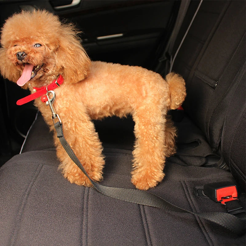 Retractable Dog Car Seatbelt Tether with Headrest Attachment