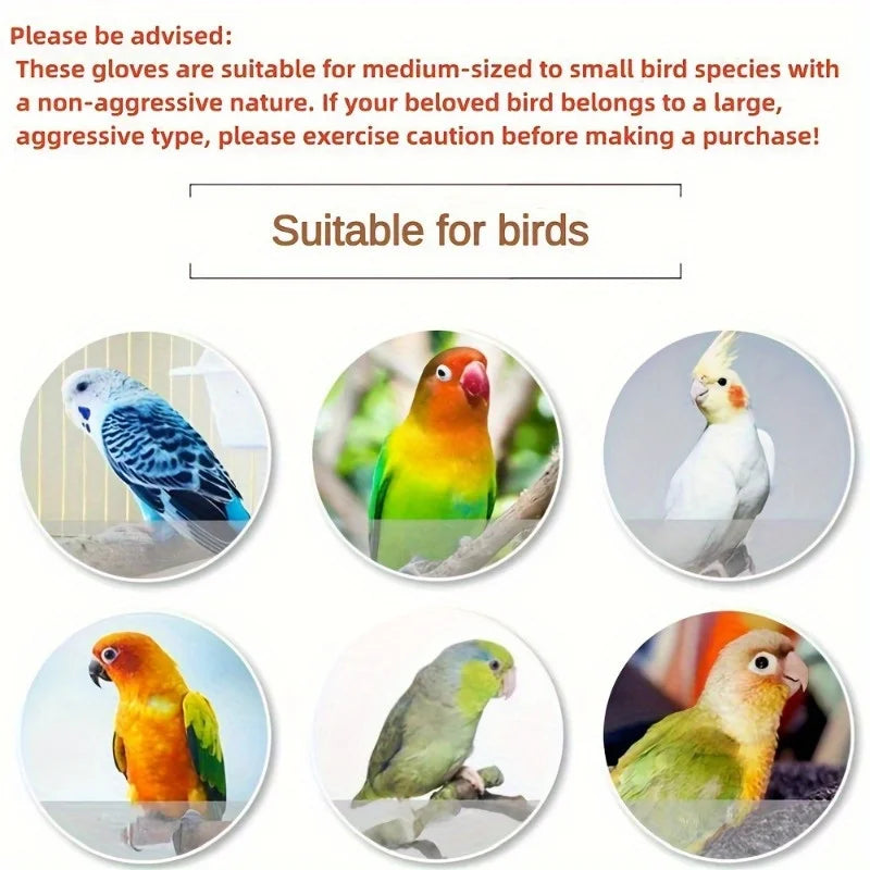 A set of bird training gloves shown next to various small and medium-sized birds.