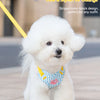 Striped Color-Block Dog Harness with Matching Leash