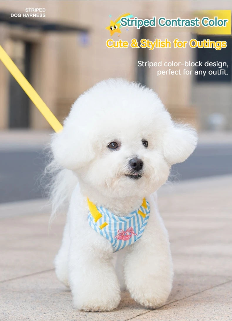 Striped Color-Block Dog Harness with Matching Leash
