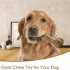 Durable Wooden Dog Chew Bone Toy for Aggressive Chewers