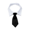 Corbata y Pajarita Formal para Mascotas