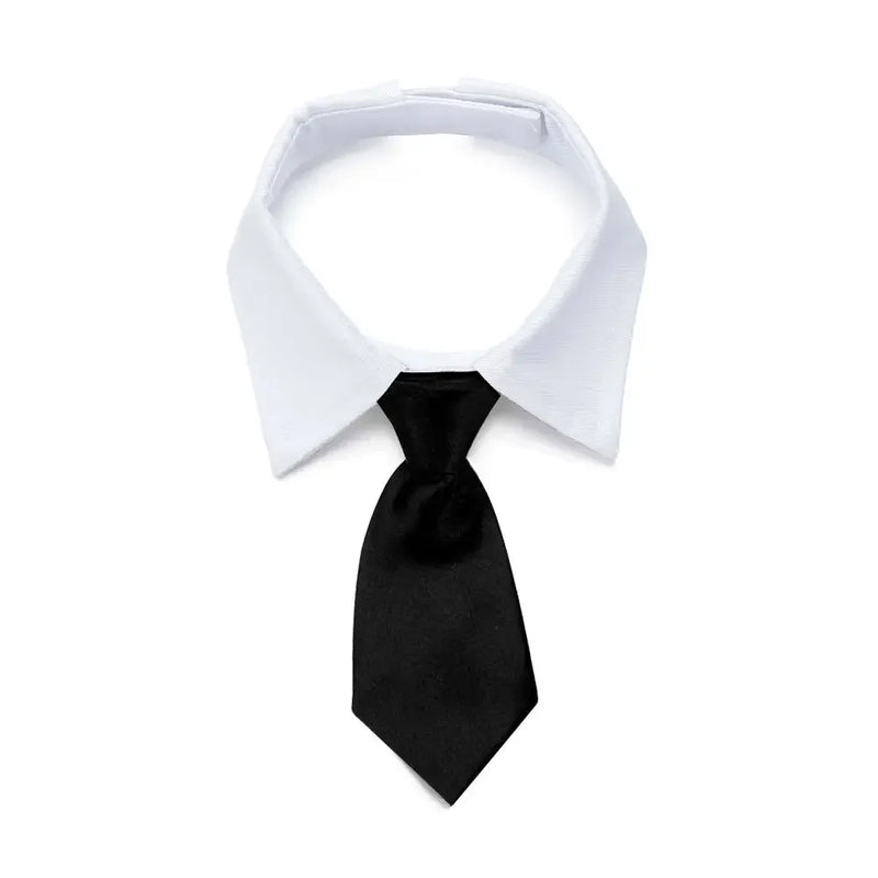 Corbata y Pajarita Formal para Mascotas