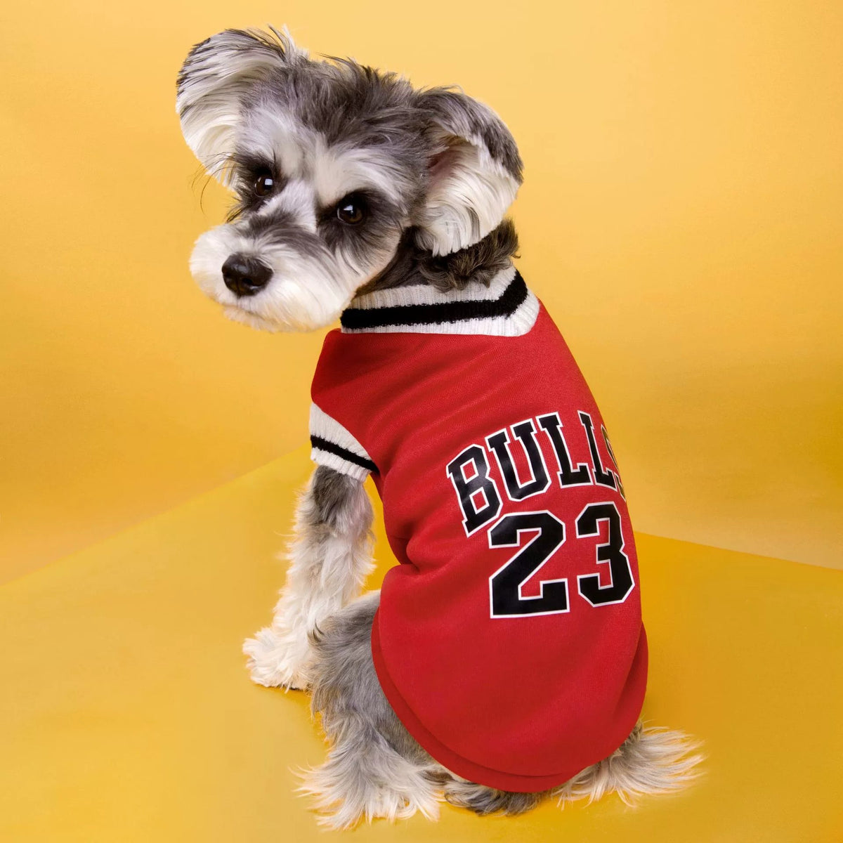 Classic Cotton Knit Dog Sweater for Small & Medium Breeds