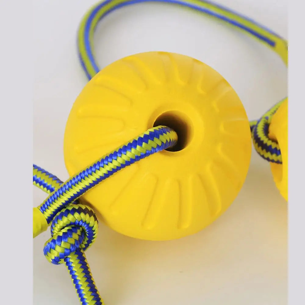 Durable Rubber Fetch Ball for Dogs and Cats