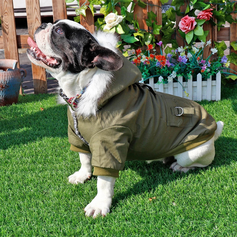 Classic PU Leather Dog Jacket for Small and Medium Breeds