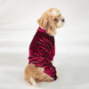 A small, light-colored dog wearing a red leopard print jumpsuit, sitting against a white background.
