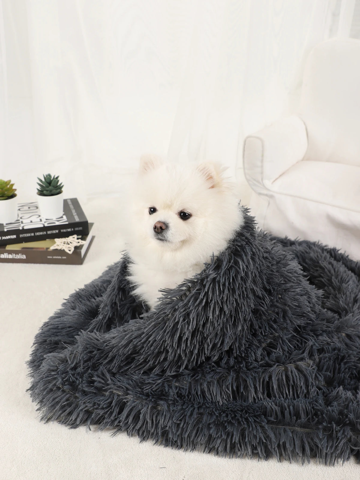 A fluffy gray pet blanket is draped over a white chair, with a small white dog resting on it.