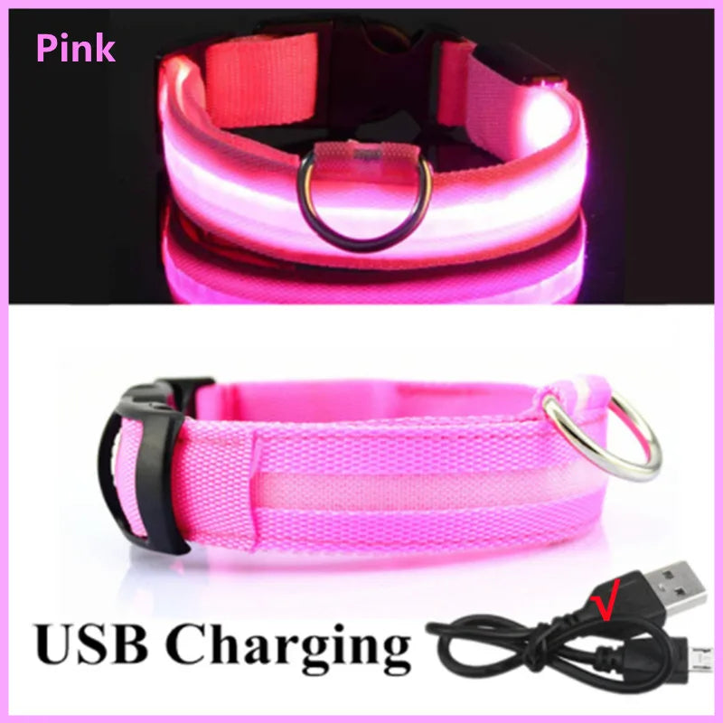 Pink USB rechargeable pet safety light collar shown with a charging cable.