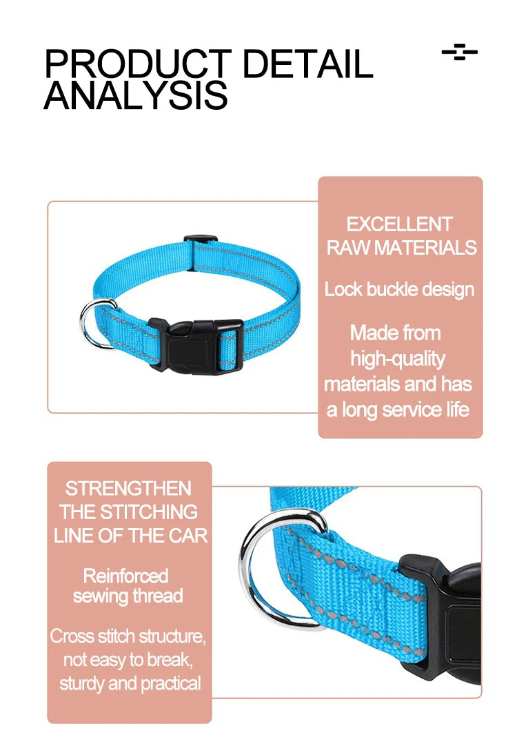 Decorative Nylon Dog Collar with Buckle Closure