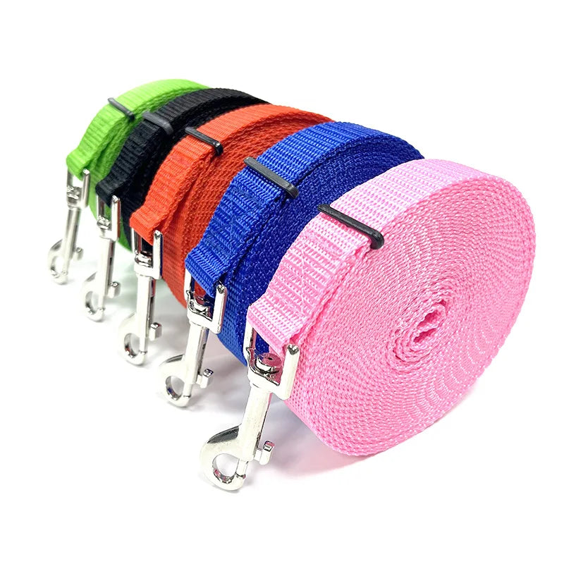 Laisse en Nylon Extensible pour Entraînement en Plein Air