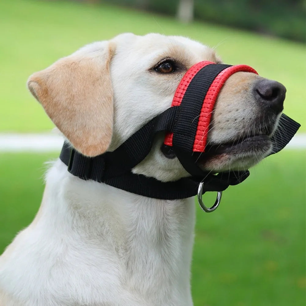 A light-colored dog wearing a red and black adjustable muzzle for anti-biting control.