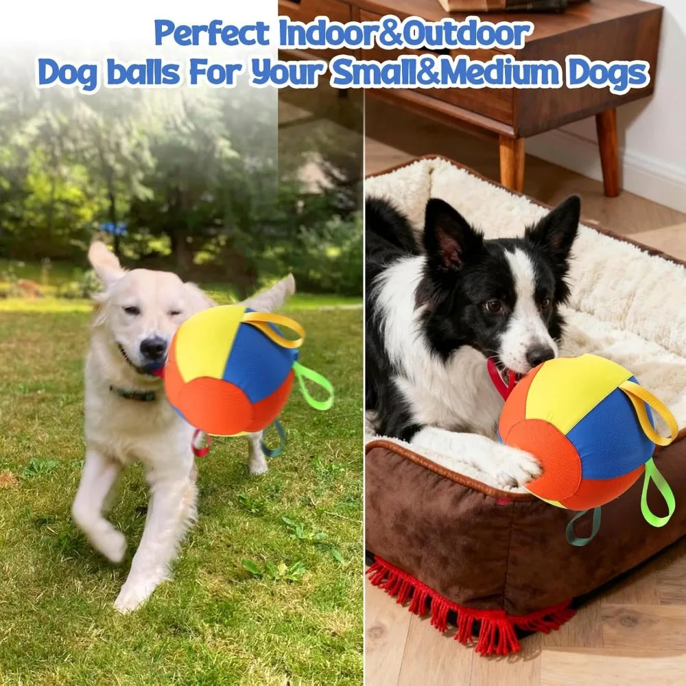 A small white dog is playing with an orange and yellow inflatable dog ball outdoors.