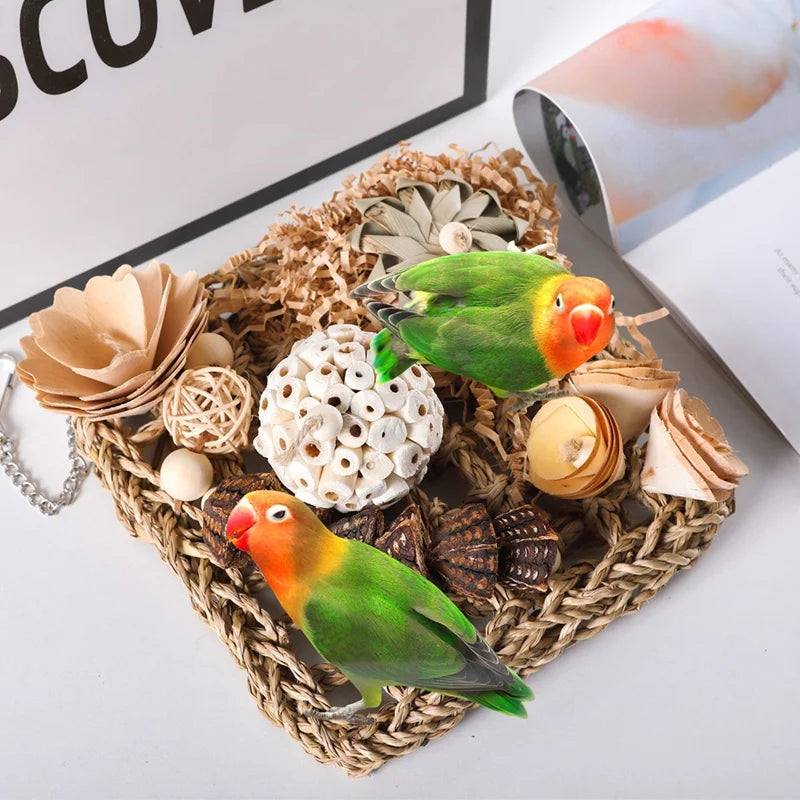 Natural Seagrass Foraging Mat and Climbing Wall for Small Birds
