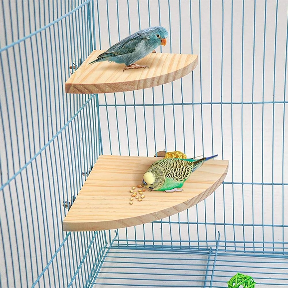 A blue budgerigar sits on a wooden fan-shaped perch inside a wire bird cage.