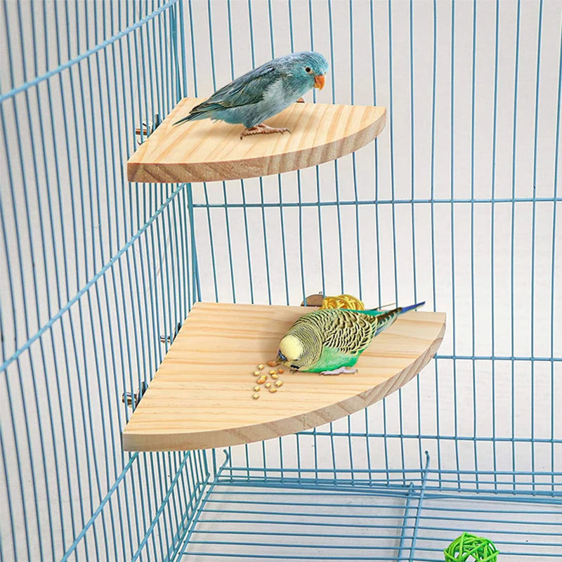 قاعدة خشبية لببغاء بشكل مروحة