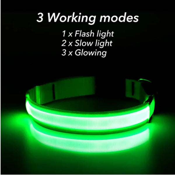 USB Rechargeable Luminous Collar for Dogs and Cats