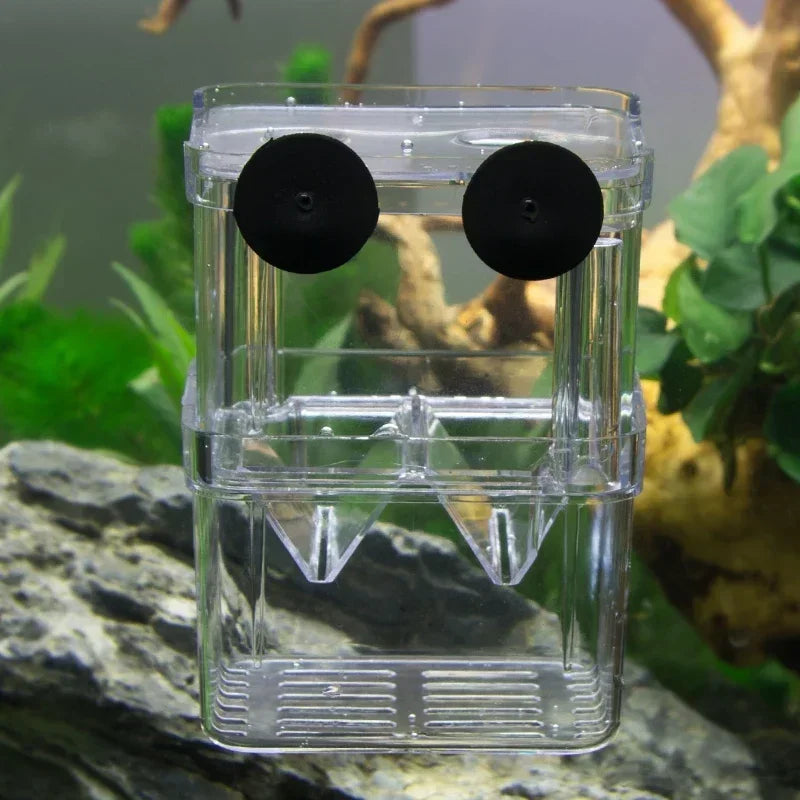 Acrylic Fish Breeding Isolation Box with Double Compartments