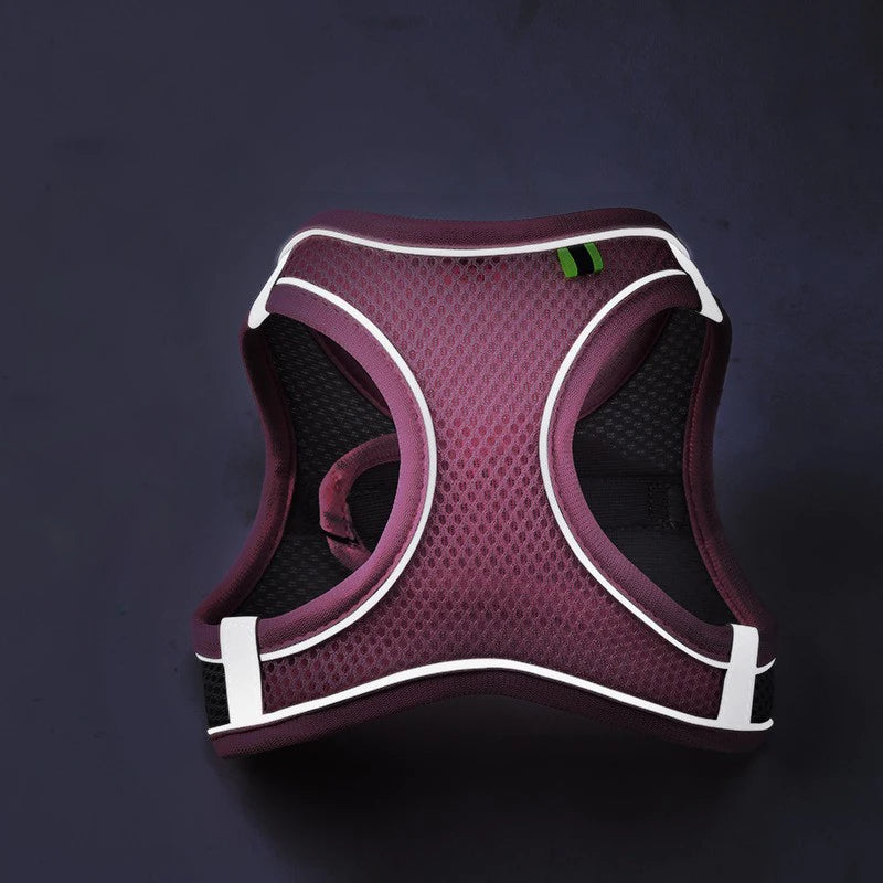 A maroon reflective adjustable pet harness is shown against a dark background.