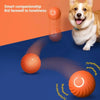 Automatisches interaktives Hundeball-Spielzeug