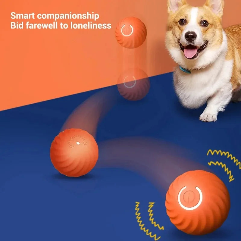Automatisches interaktives Hundeball-Spielzeug