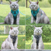 Reflektierendes Netz-Hundegeschirr & Leine Set für Katzen