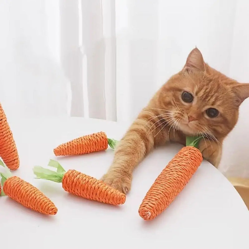 Juguete para Mamar de Gato con Forma de Zanahoria
