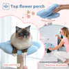A fluffy cat is sitting on a blue fabric flower perch, demonstrating the cute and cozy features of the decorative cat tree.