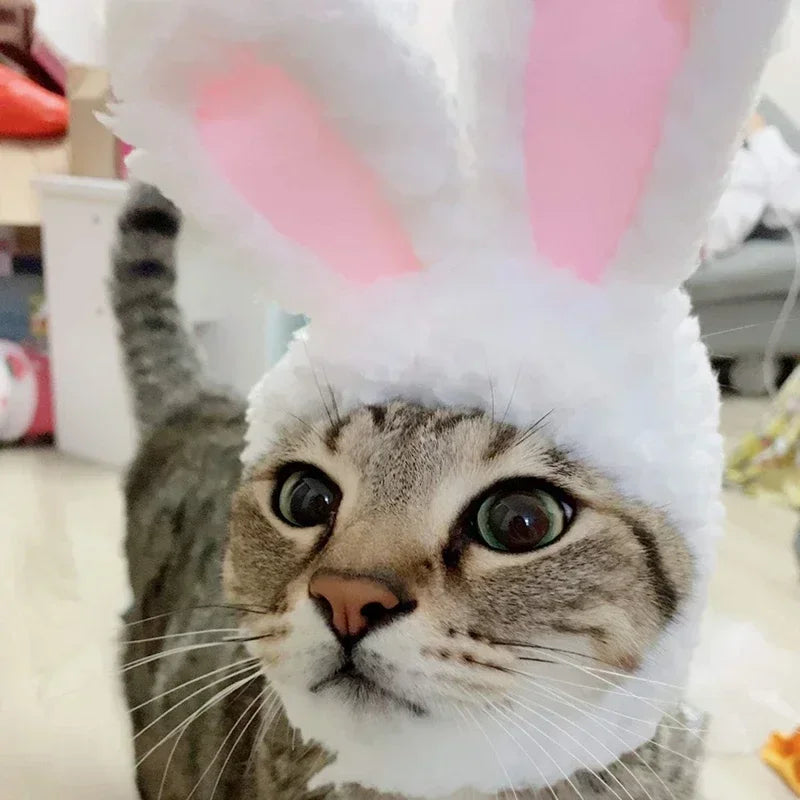 Sombrero de Melena de León para Mascotas