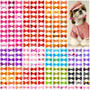 Pet Hair Bows with Rubber Bands - Assorted Styles for Small Dogs and Cats
