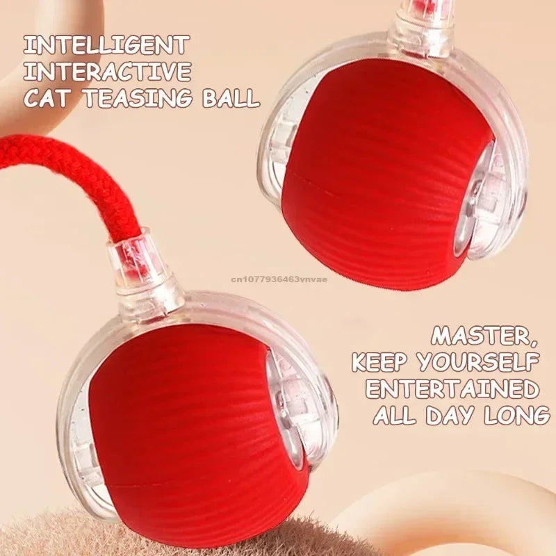 Interactive Automatic Rolling Cat Toy with Tail