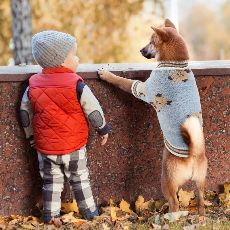 Adorable Bear Pattern Knitted Cardigan for Small Dogs and Cats