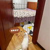 Adjustable Retractable Pet Safety Gate for Doorways and Stairs