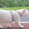 A white cat wearing a pink and blue harness is walking on a reddish-brown surface outdoors.