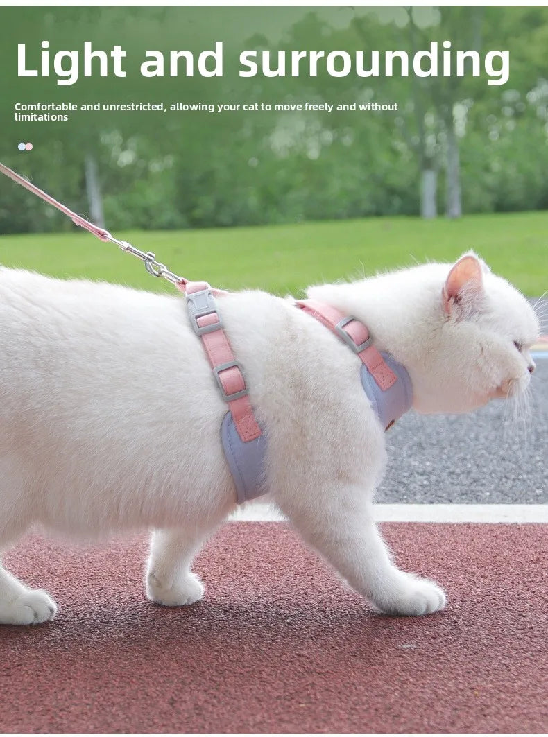 A white cat wearing a pink and blue harness is walking on a reddish-brown surface outdoors.