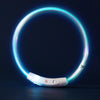 USB-aufladbarer LED-Hundehalsband
