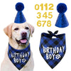 A golden retriever wearing a blue birthday hat, bandana, and bow tie set for a party.