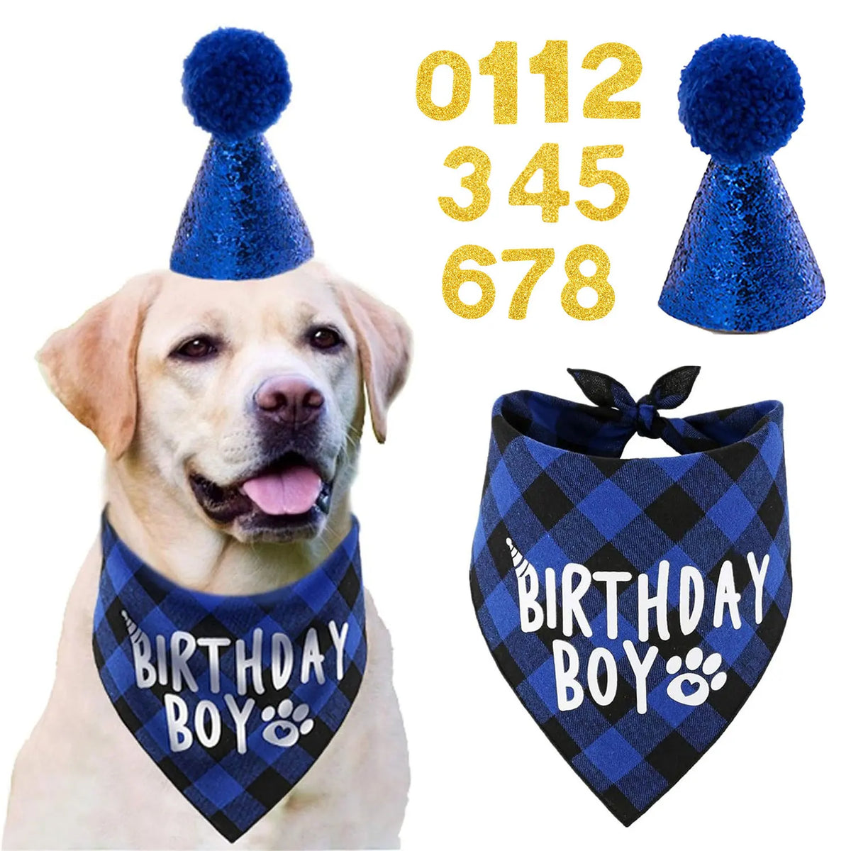 A golden retriever wearing a blue birthday hat, bandana, and bow tie set for a party.