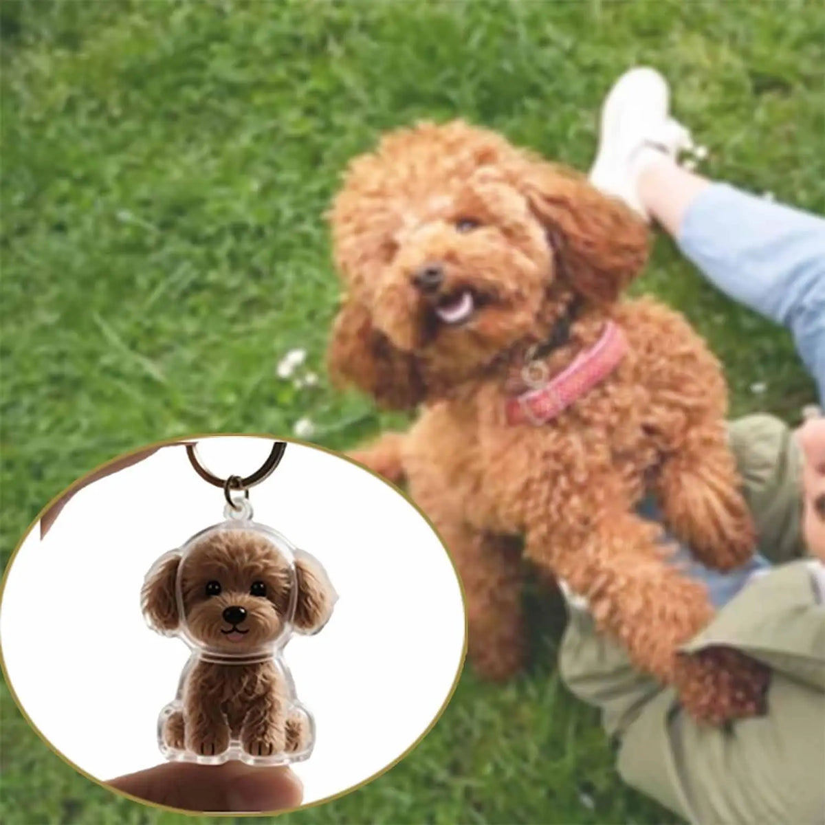 Pet Fur Keepsake Keychain with Transparent Hair Storage Pendant