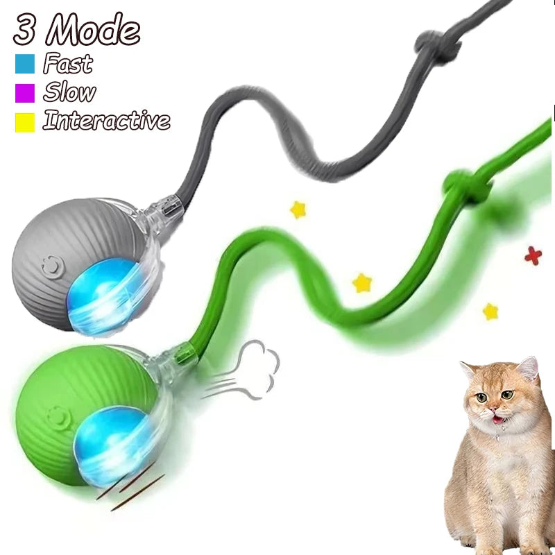 Interactive Rolling Cat Toy with Faux Tail